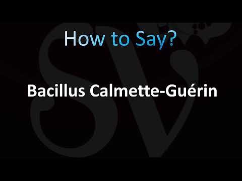 How to Pronounce Bacillus Calmette-Guérin