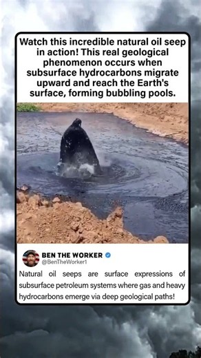 Bubbling Natural Oil Seep 🛢️🌍