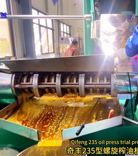 6YL-235 cold screw oil press machine to press canola oil in workshop 500kg per hour processing capacity,suitable for sunflower peanut soybean most of oil seeds press#oilmaking#oilpress #oilextraction