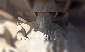 Google maps: villano de Spiderman se esconde en insólito lugar y deja asombrado a fans [VIDEO]