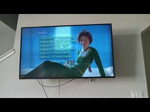 Opening To Shrek 2001 DVD (Disc 2) (DTS Option)