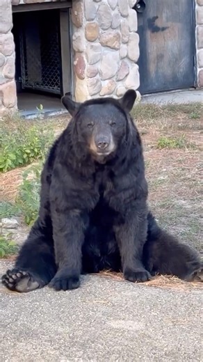 Places I Visited in the USA | Travel Vlog