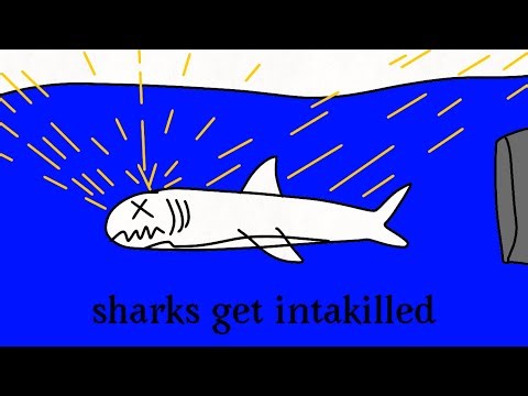 Pro servers in sharkbite 2 are WILD