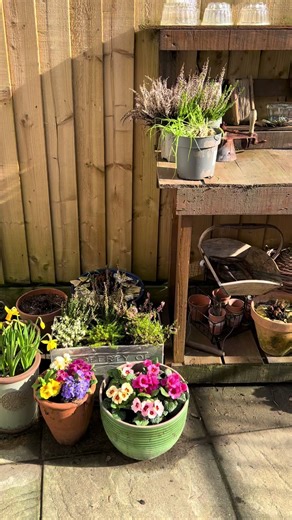 An early Spring garden update! #cottagegarden #cottage #landscaping #gardening #spring