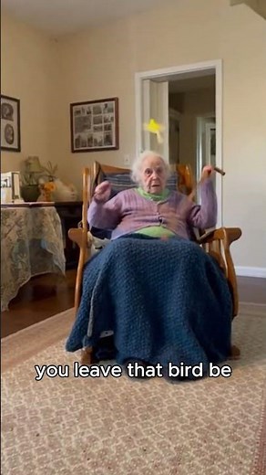 "Canary is being chased by Tuxedo Cat, and Granny protects Canary" #canary #cat