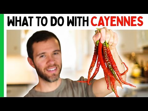 What To Do With Cayenne Peppers 🌶️