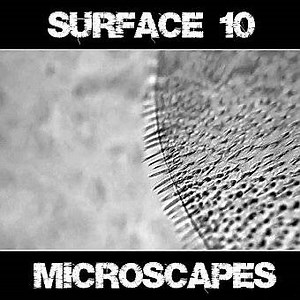 Surface 10 - Microscapes