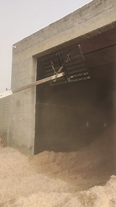 New pur | Farming brain