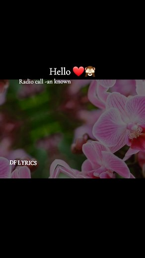 Discover the Meaning Behind DF Lyrics in Radio Call