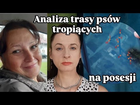 BEATA KLIMEK - Analysis of the tracking dogs' route on the property