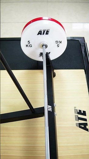 Technique Bumper Plates