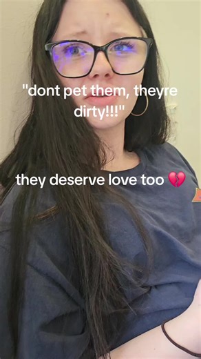 #straycat #linggangguliguliguliwaca #wlw #wuhluhwuh #gay #boowomp