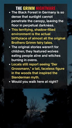 The Forest That Inspired Humanity’s Darkest Tales #facts