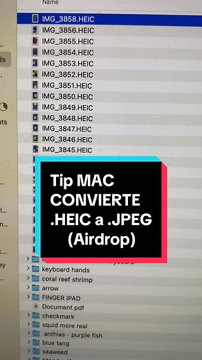 Cuándo te mandas fotografías por AirDrop te llegan en un formato súper raro que es .HEIC y te voy a dejar la manera más rápida para convertirlos a .JPEG Sígueme Aprende con Ame #maestrasdetiktok #viral #maestra #aprendeentiktok