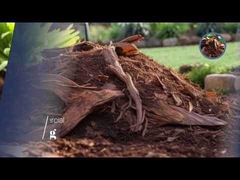 Tree Mulching Services in Brisbane – ABC Tree Lopping Brisbane