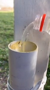 When in doubt, bring water! 🚰🚰🚰 Have you found a geocache like this before? Video by aussie_geocacher_seemyshell. Video: A geocacher approaches a wooden post near a water tank with a PVC pipe attached to it. The camera pans to the bottom of the pipe and focuses on an Official Geocache sticker. The camera moves to the top of the pipe and looks into the pipe. The geocacher holds a water bottle full of water over the top of the pipe and pours the water in. The camera cuts to the bottom of the pi