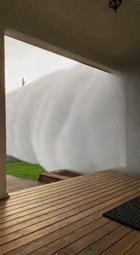 Fog Bank Rolling In | #SoraViral #ViralShorts