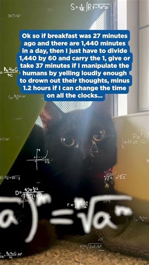 Cat Math
