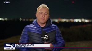 Officials: Erica Fox died from suspected shark attack near Lover's Point