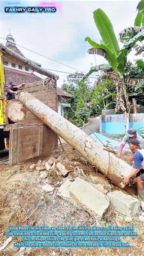 SYMPHONY OF LABOR: Mastering the Art of Loading Giant Logs with Precision! 🪵✨ #rurallife #work #diy