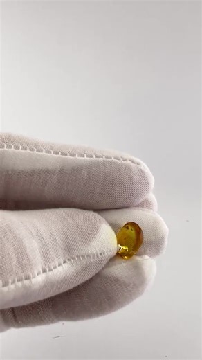 Amber Pendant: Spider From the Age of Dinosaurs - Etsy