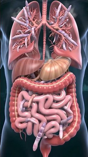 "Worms in the Stomach & Intestines | Shocking 3D View of Digestive Parasites"