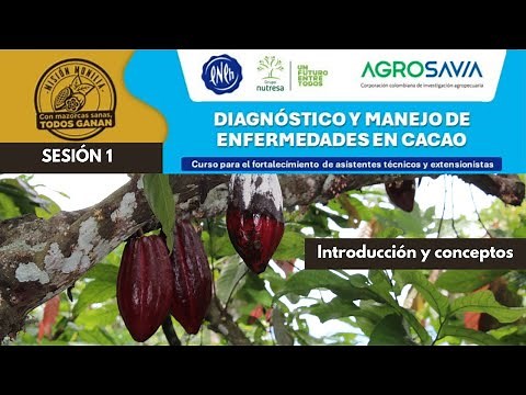 SESIÓN 1: Diagnóstico y manejo de enfermedades en cacao (Introducción y Conceptos). AGROSAVIA & CNCH
