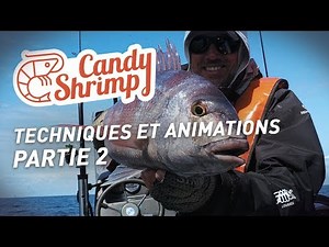 Fiiish - CANDY SHRIMP - How to use - Part 2