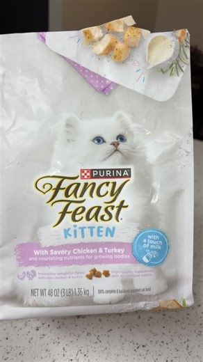 Kittens and Worms: A Shocking Discovery