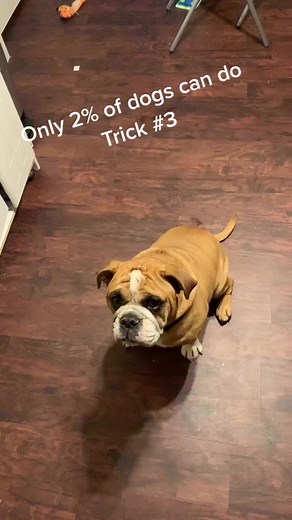 Trick #3 is almost impossible 😱#foryou #foryoupage #fyp