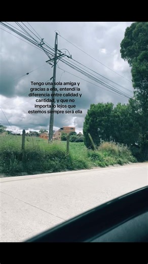 Solo tengo una amiga: Celebrando la verdadera amistad