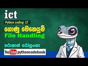 09 coding: Python file handle lesson