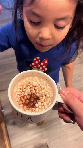 Delicious Peppermint and Chocolate Cocoa Bombs Recipes