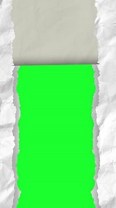 Download 4k animated of vertical blank rough textured white paper tear on green background for free