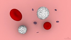 StdDocument.aspx?DOCHWID=abp5464