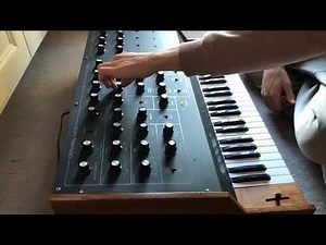 Powertran Transcendent Polysynth