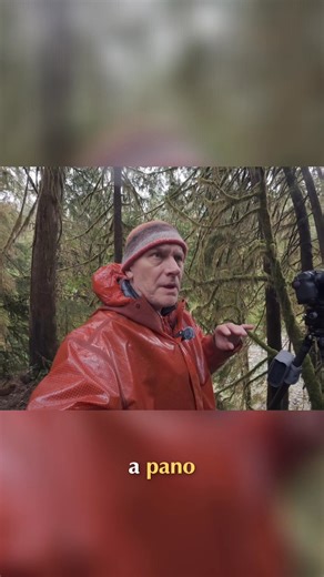 2.2K views · 43 reactions | The photographer explains why they chose to do a panoramic shot of the two very large Western Red Cedar trees on the loop trail. A regular shot would include too much bright sky, which would be distracting. Have you ever had to make a similar choice? #photography #pano #trees #redcedar #landscape | Adam Gibbs | Facebook