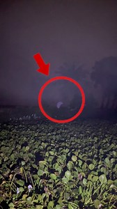 200K views · 5.4K reactions | MY PHONE CAPTURED A DEMON – Watch Till the End! ⚠️ #RealGhosts #CreepyAF | BD Ghost Hunter | Facebook