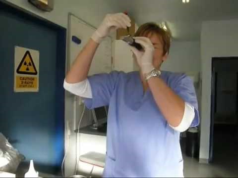 Urine Specific Gravity Test Dog