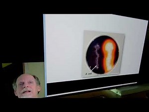 Microbiology Lab Practical Review 2