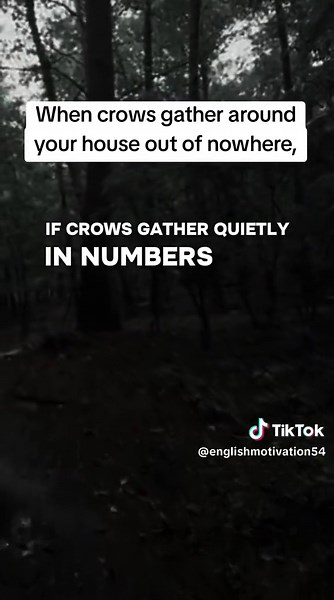 The Mystical Significance of Crows in Folklore