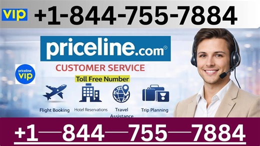 【 Priceline】✮ Customer Service Complete Breakdown — ✓ Step-by-Step Guide to 24/7 Help & Support
