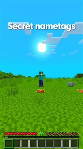 tixlgame | Secret nametags moment in Minecraft! #minecraft #minecraftmemes | Instagram