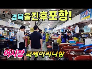 ♡울진 후포항 어시장,위판장,재래시장, 회센터,여객터미널,국제마리나항,해상낚시공원,스카이워크 모두 모여있는 팔색조 항구~~~