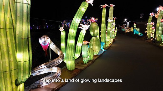 Immerse yourself in a new dazzling adventure with Glo Wild at the Fort Wayne Zoo! | Fort Wayne Zoo