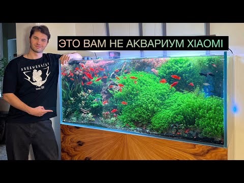 ОБЗОР САМОГО ТЕХНОЛОГИЧНОГО ТРАВНИКА