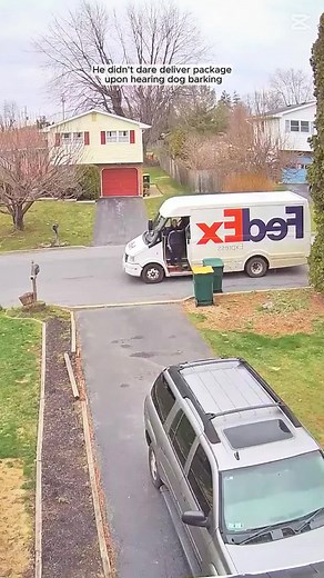 #deliveryguy #situation #deliverydriver #deliveryguy #