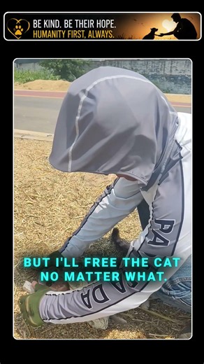 Cat Trapped in a Box 😿 | Brave Rescue That Saved a Life ❤️ #humanity #kindness #cat