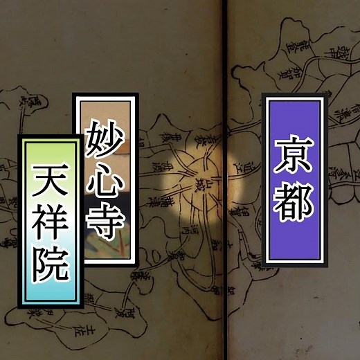 メトロポリタンの名作：日本美術㊺🌼狩野山雪《老梅図》江戸時代 1646年 メトロポリタン美術館