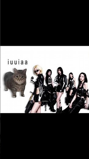 ITZY - THAT'S A NO NO, but it's Oiiai Cat Remix (uiiai) #mashup #remix #oiiacat #itzy #kpop